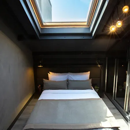 161城市阁楼公寓 伊斯坦布尔